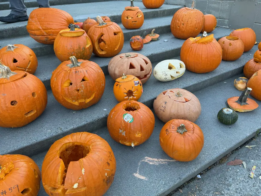 Dozens of finished jack-o’-lanterns lined up on concrete steps, each numbered in marker, faces ranging from grinning to furious.