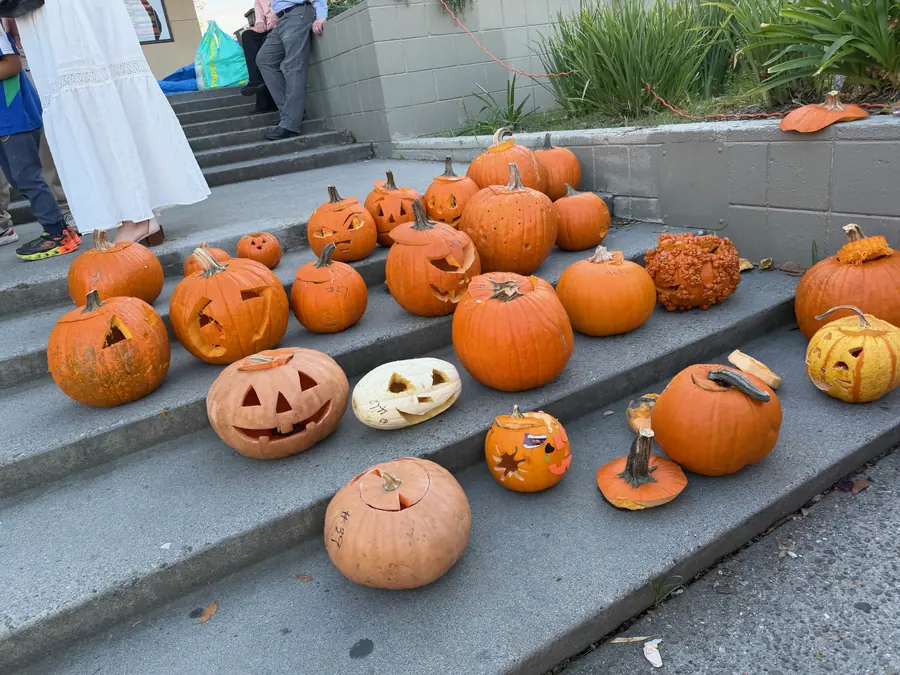 Two dozen carved and decorated jack-o'-lanterns lined up in rows across concrete steps in late-afternoon light, from classic toothy faces to a warty gourd and a sticker-covered mini pumpkin.